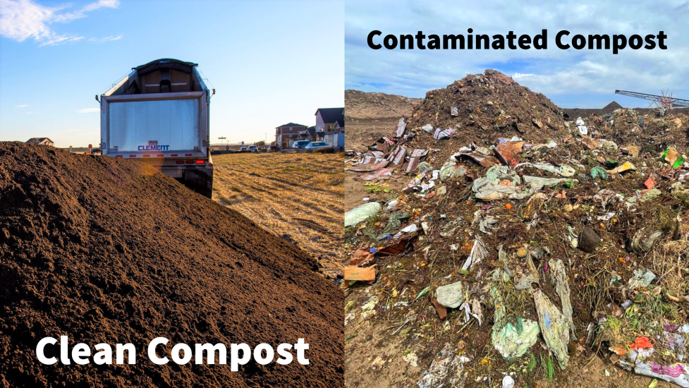 A pile of clean compost versus contaminated compost.