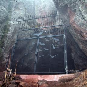 Mallory Cave gate