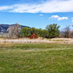 View of a barn from South Boulder Creek Trail in spring