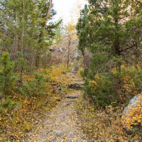 Bear Canyon Trail in Autumn
