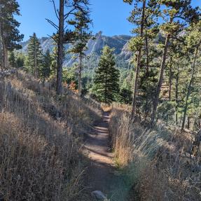 Upper McClintock - a narrow dirt trail with a view of the Flatirons behind pine trees